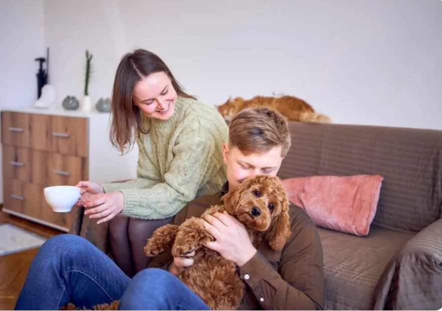 Dogs for Families with Allergies
